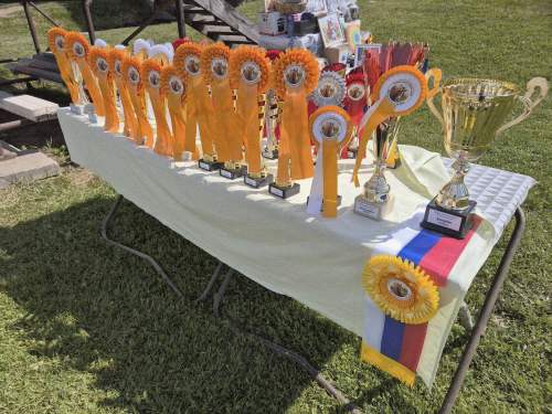 509363341_1248333083423310_4682658195578895949_n